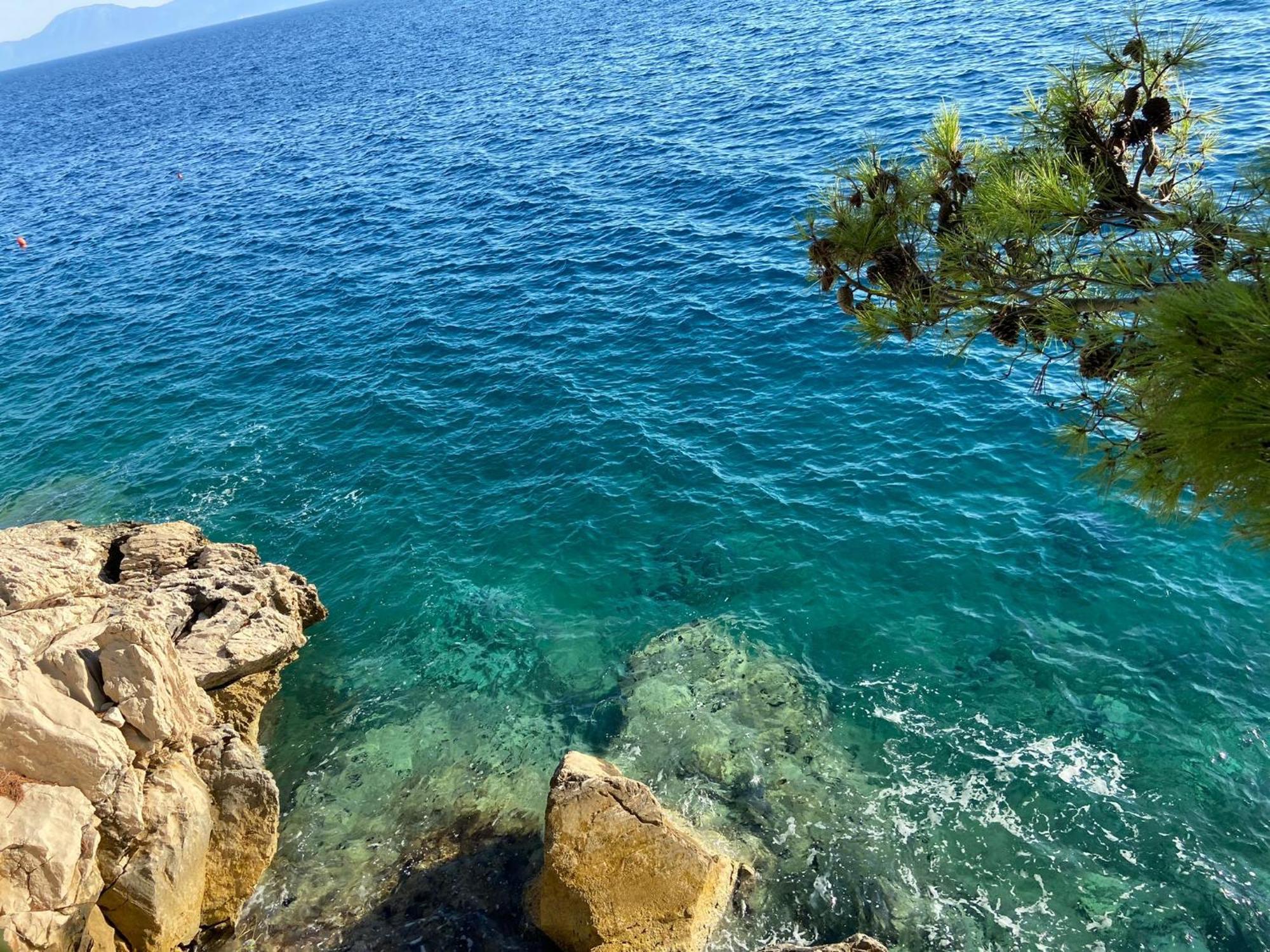 Pansion Palme Διαμέρισμα Drvenik  Εξωτερικό φωτογραφία